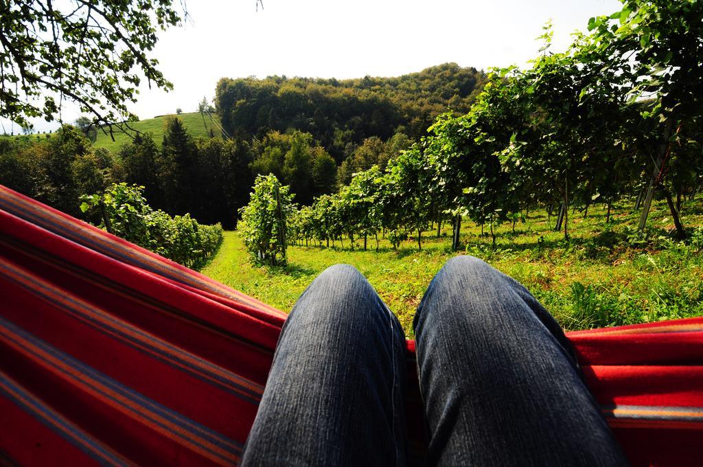 Weingut Winzerzimmer Rothschaedl Leutschach Exteriér fotografie