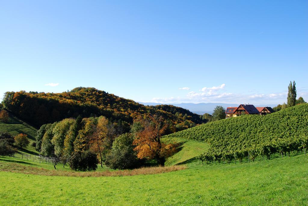 Weingut Winzerzimmer Rothschaedl Leutschach Exteriér fotografie